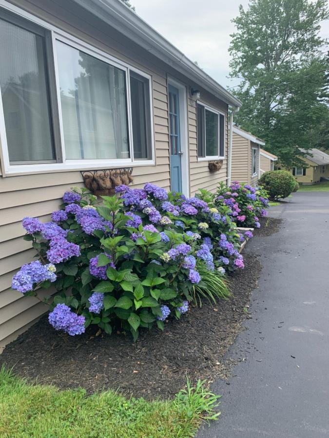 Northeaster Motel Kittery Ngoại thất bức ảnh